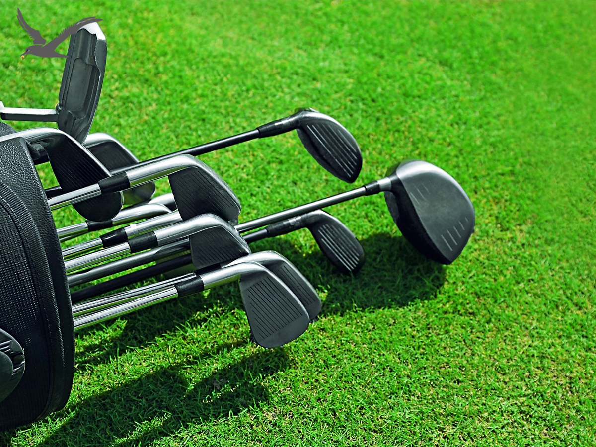 Tietoja golfklubin tutkinnoista