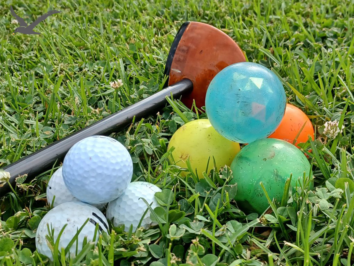 Park -golfpallot monimuotoisuus