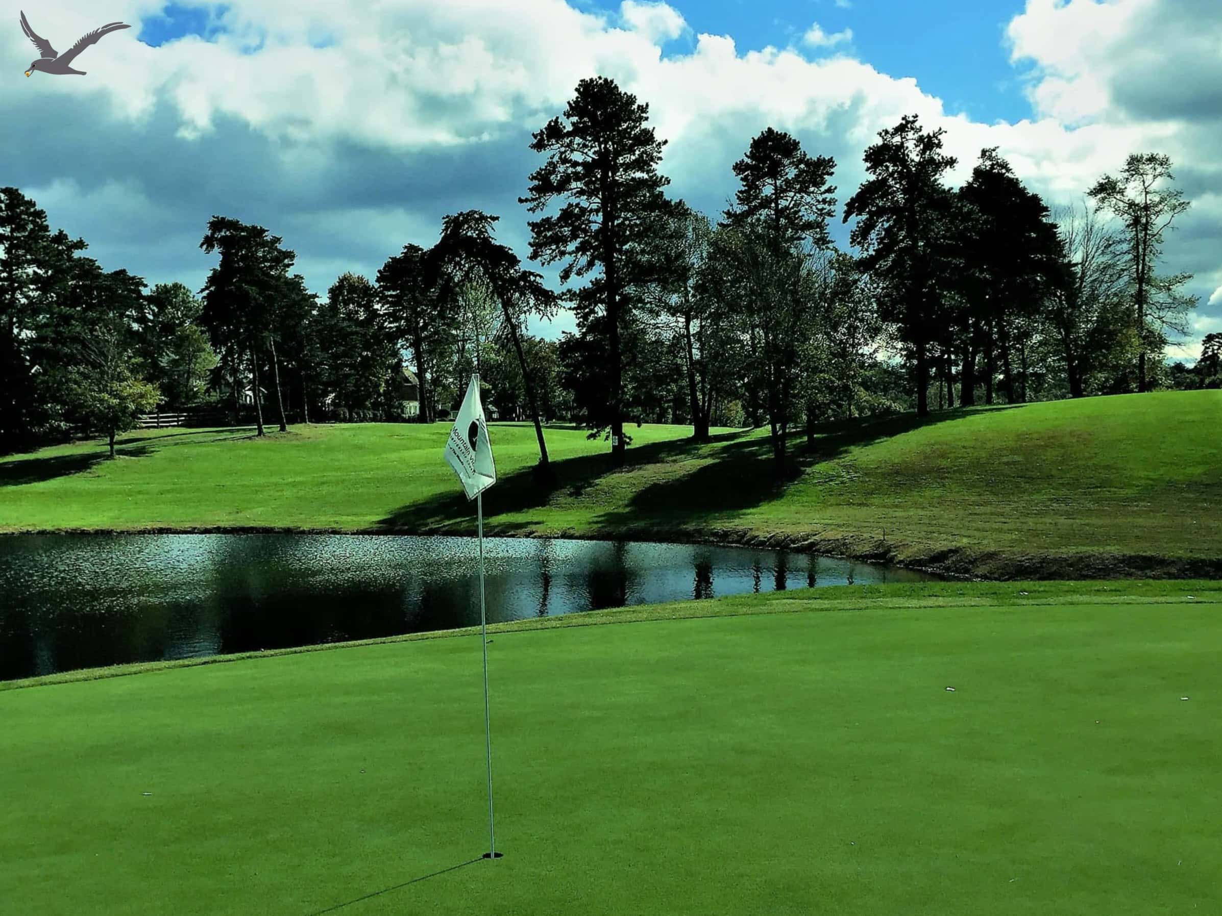 The Albatross Sports: 10 nopeaa faktaa Kown Golfiin (osa 1)